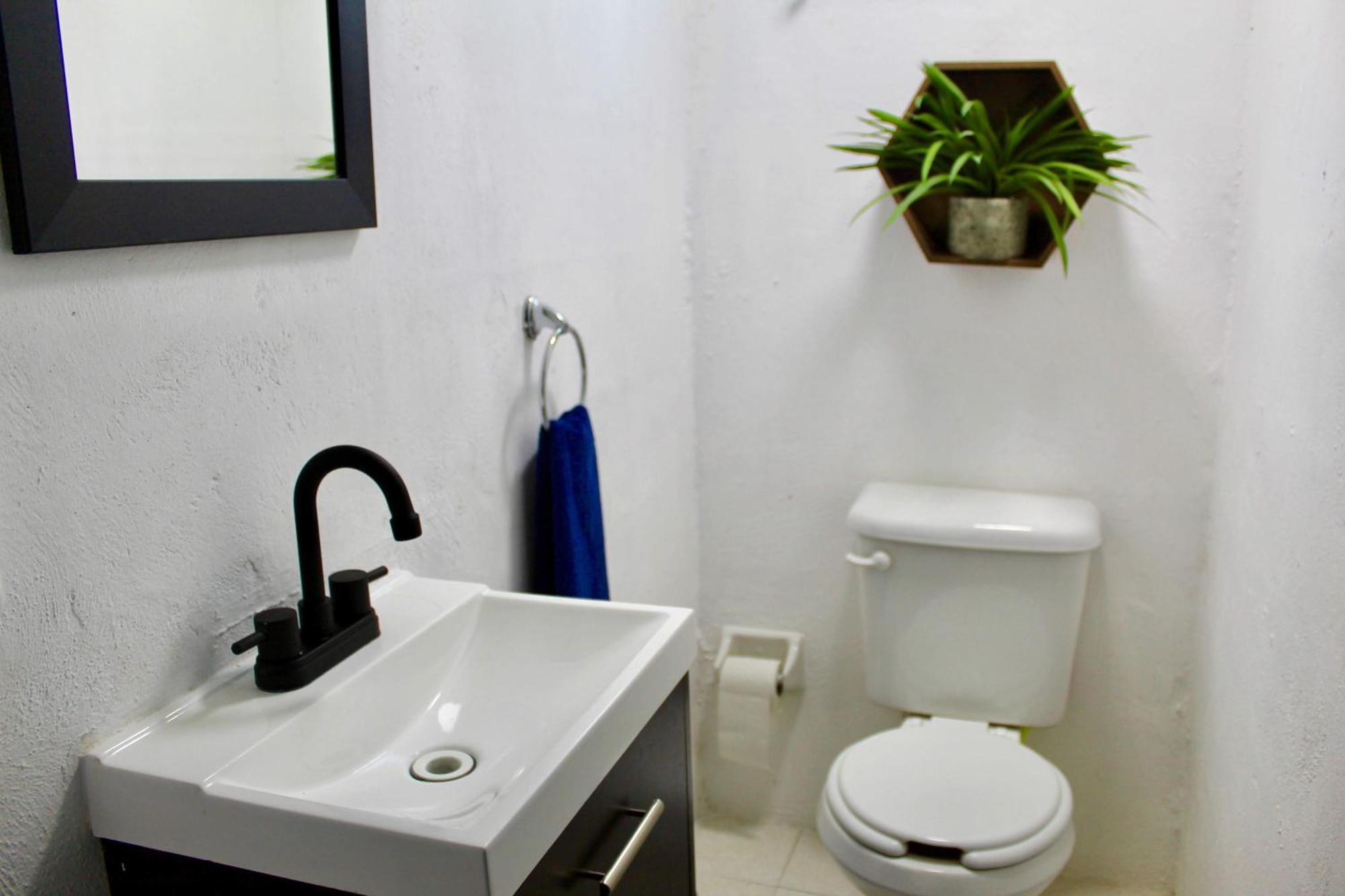 Pop Urban Studio Cancún Eksteriør billede